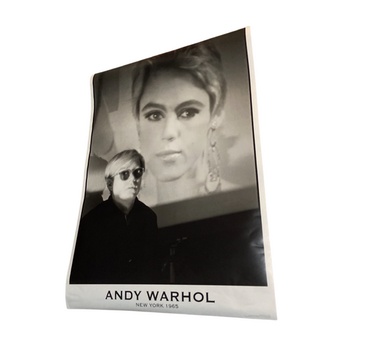 Andy Warhol In New York Poster