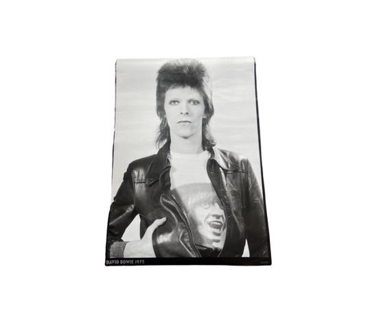 David Bowie "ziggy Stardust" promotional Poster