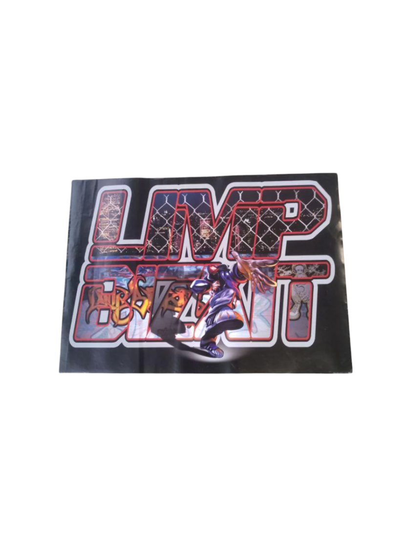 Limp Bizkit Promotional poster