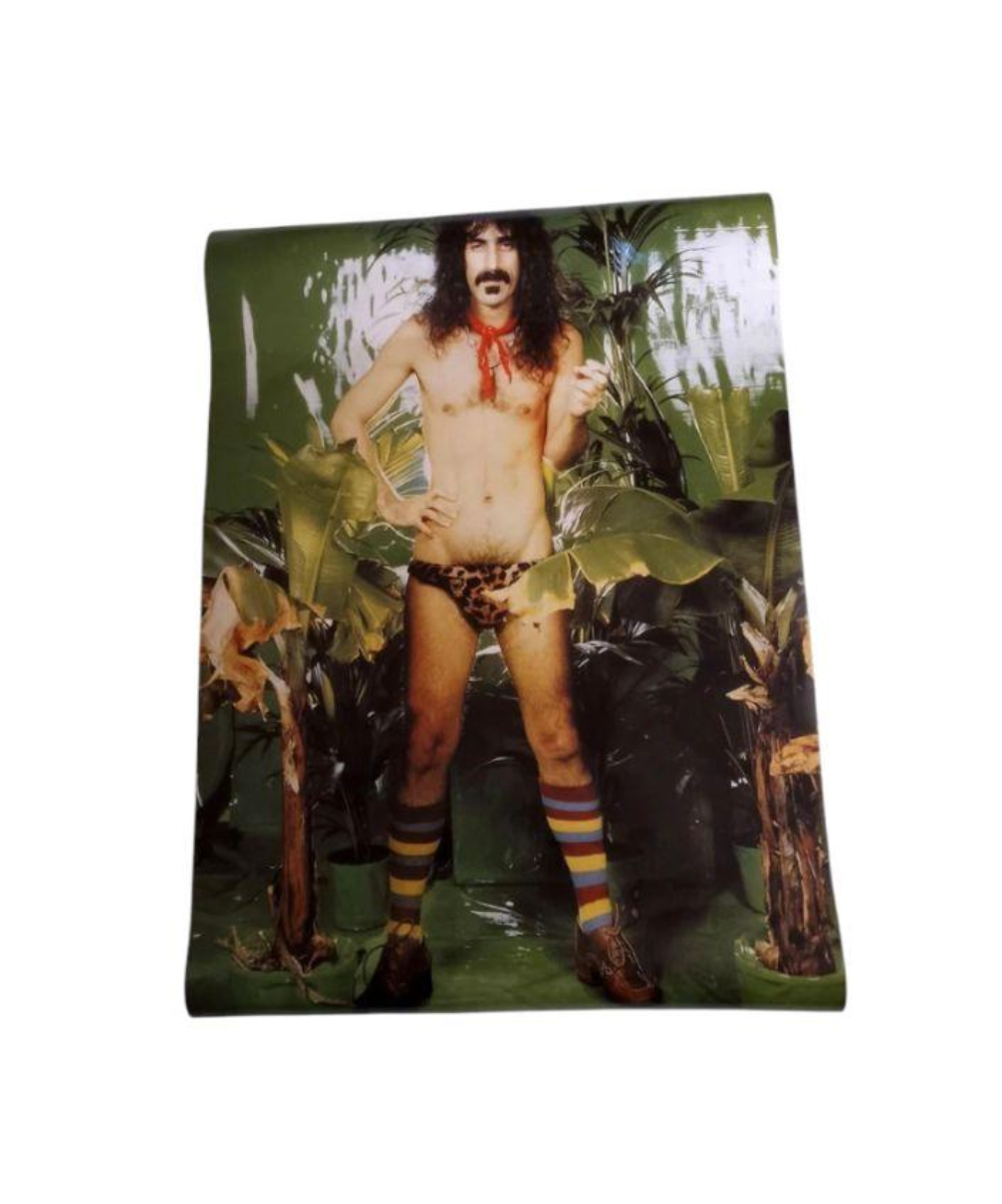 90s Frank Zappa promotional Poster