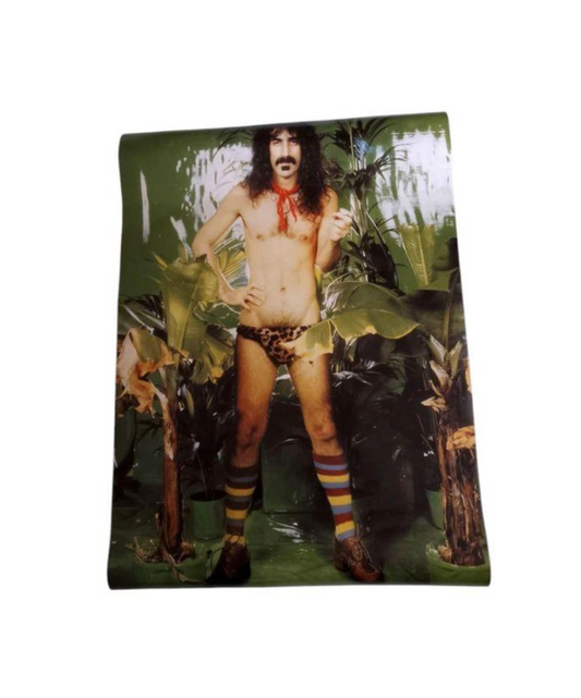 90s Frank Zappa promotional Poster