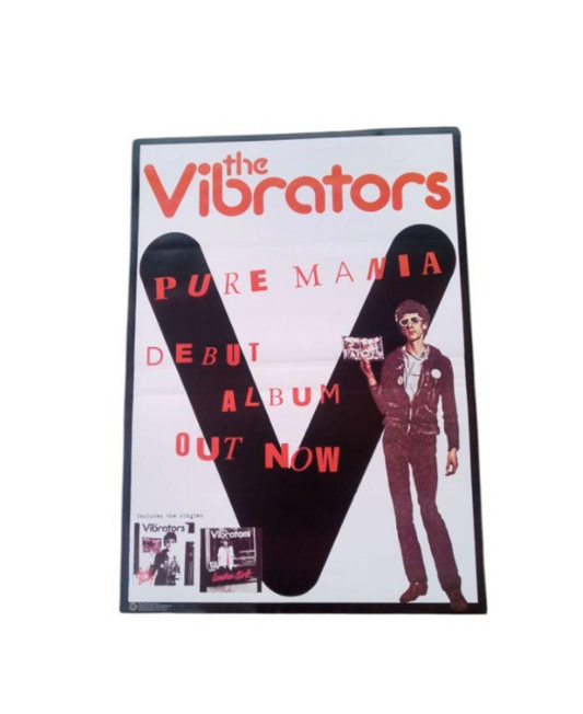 The Vibrators promotional Poster