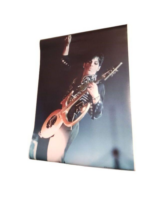 PRINCE promotional Poster